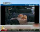 武漢電視問(wèn)政 女區(qū)長(zhǎng)當(dāng)場(chǎng)吃受污染黑橘 稱“味道還行”