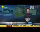 爽??！國足出線后還有驚喜 張稀哲狼堡首秀獻(xiàn)助攻