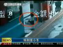 高速邊苦等十三天 主人你在哪里？