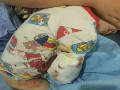 猛獸出沒 注意！2歲男童在動物園被白虎咬掉右臂