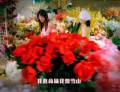 “中國(guó)夢(mèng)”主題歌曲之《我的要求不算高》