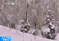 遼寧迎暴雪致萬(wàn)余班客車(chē)停運(yùn)高速封閉