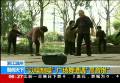 “以噪制噪”廣場(chǎng)舞遭遇“高音炮”