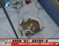 鄭州一流浪漢突發(fā)腦溢血 醫(yī)院擔險動刀挽回一命