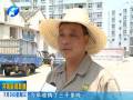 部分農民惜售 企業(yè)積極收購