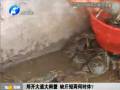 鄭開大道大閘蟹 缺斤短兩何時(shí)休？