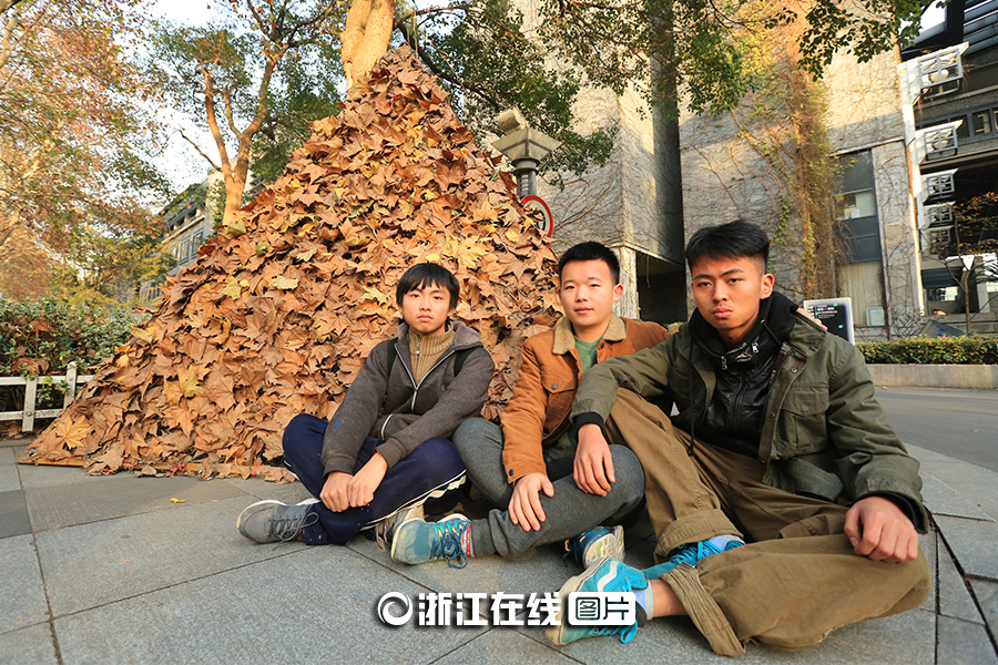 落葉“金字塔”成杭州街頭一景 落葉“金字塔”成杭州街頭一景