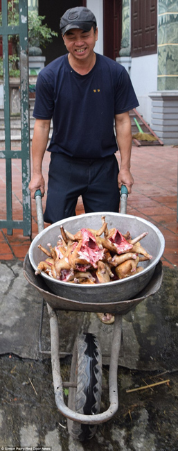 越南貓肉餐廳：將貓淹死、剝皮、切成小塊，再油炸
